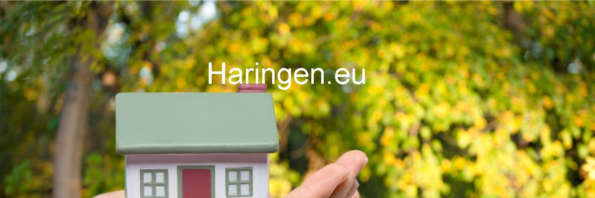 haringen.conception-blog.com